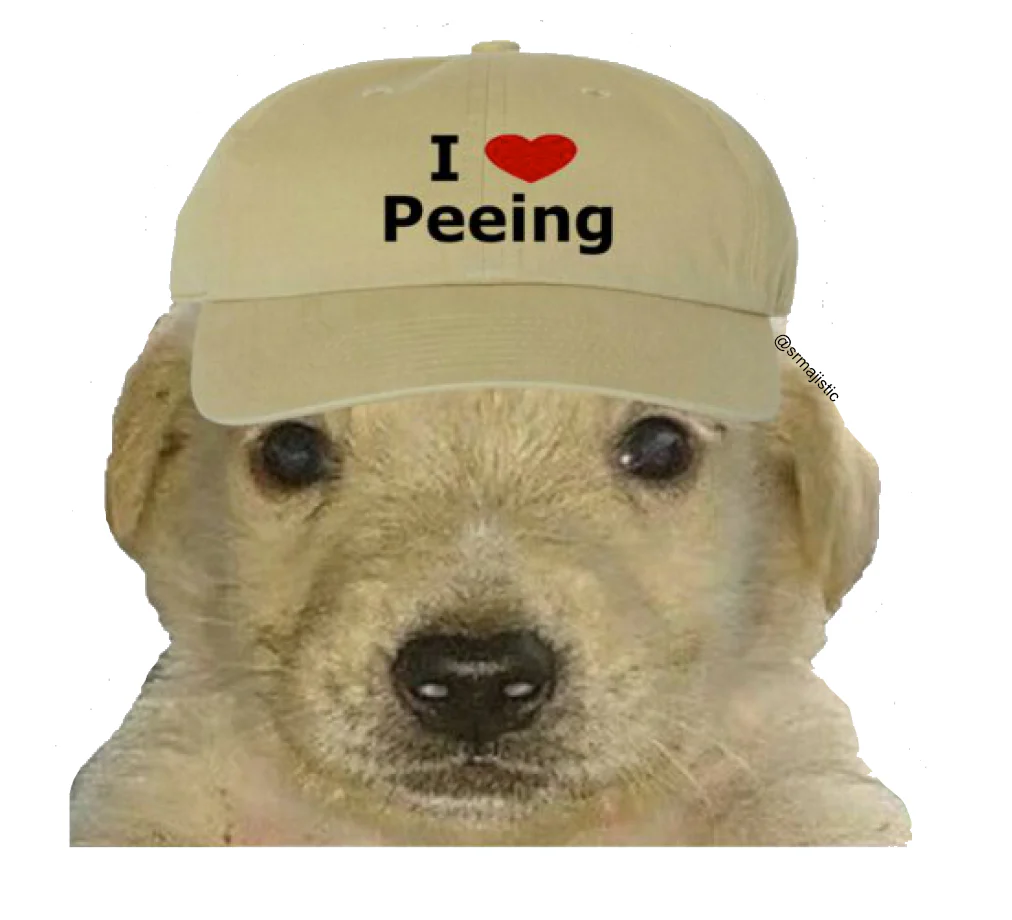 Scubadog
